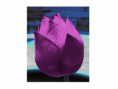 /album/ov/kvet-png1/